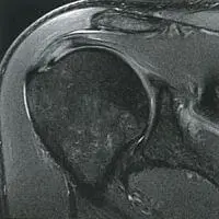 publish 11 01 200 200