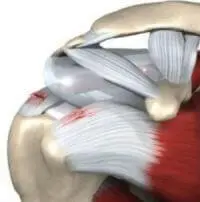 publish 11 02 200 202