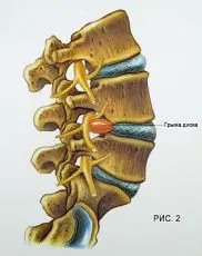 publish 12 02 (1) 182 230