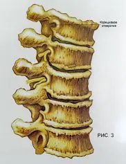 publish 12 03 (1) 182 237