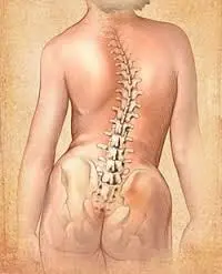 болить в грудному відділі