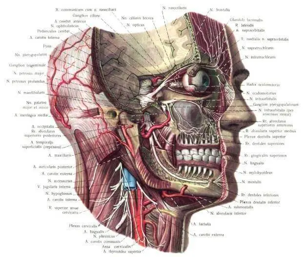Невралгія під'язикового нерва