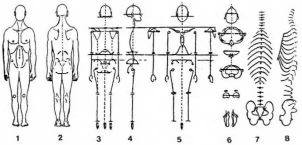 Вертеброгенный двигательный стереотип (ВДС) Вертеброгенный двигательный стереотип (ВДС)
