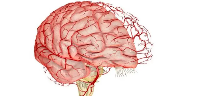Улучшить кровоток в сосудах головного мозга при головной боли, головокружении, боли в затылке, шуме в ушах. Улучшить кровоток в сосудах головного мозга при головной боли, головокружении, боли в затылке, шуме в ушах.