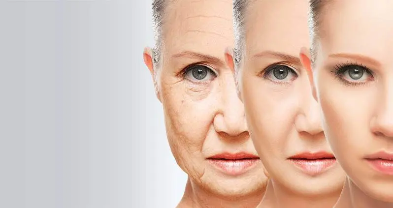 Антіейджінг або боротьба з віковими змінами організму Антіейджінг або боротьба з віковими змінами організму