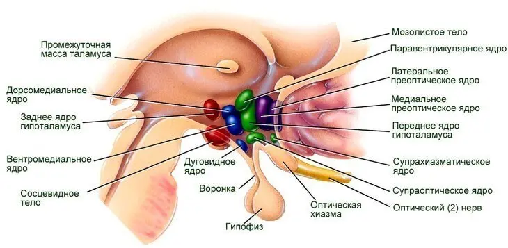Эффективное лечение ВСД
