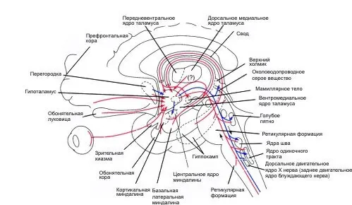 Эффективное лечение ВСД