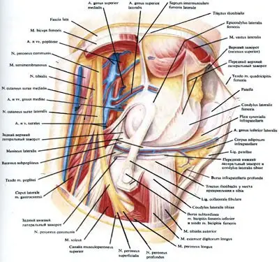 Как избежать операции на коленном суставе
