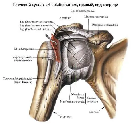 Как избежать операции на коленном суставе