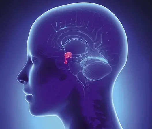 Мрт гипофиза, мрт с контрастом Мрт гипофиза, мрт с контрастом