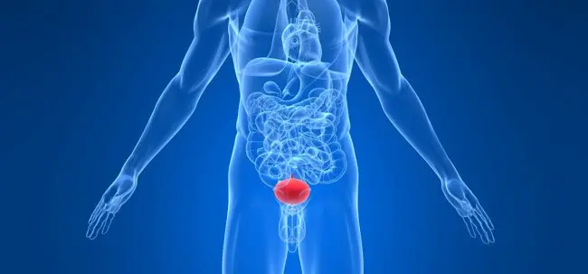 Боль в промежности: причины, диагностика и лечение в Киеве