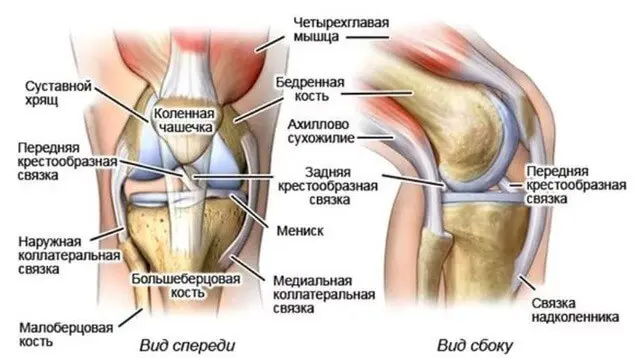 Травма связок колена