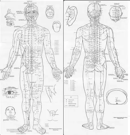 автономна нейромережа